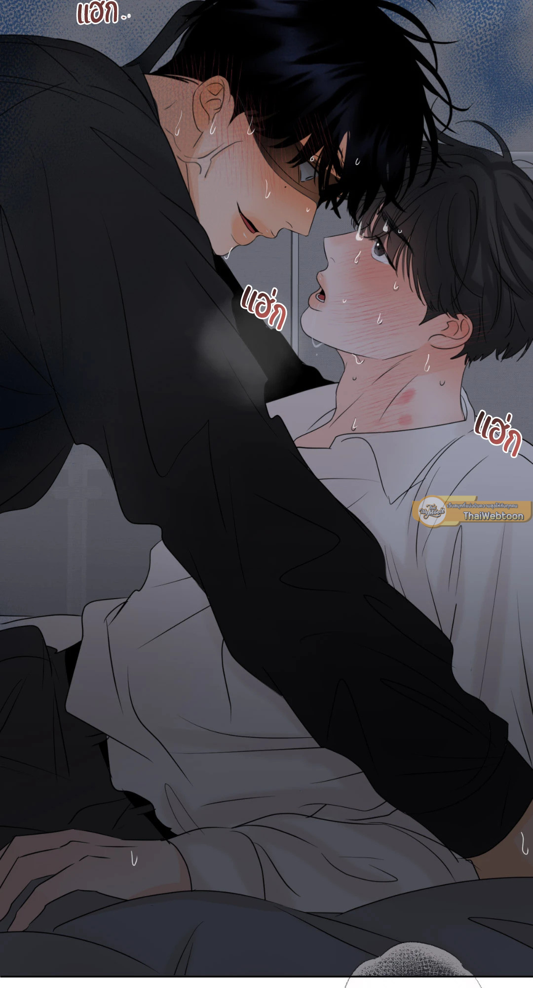 หน้า 41