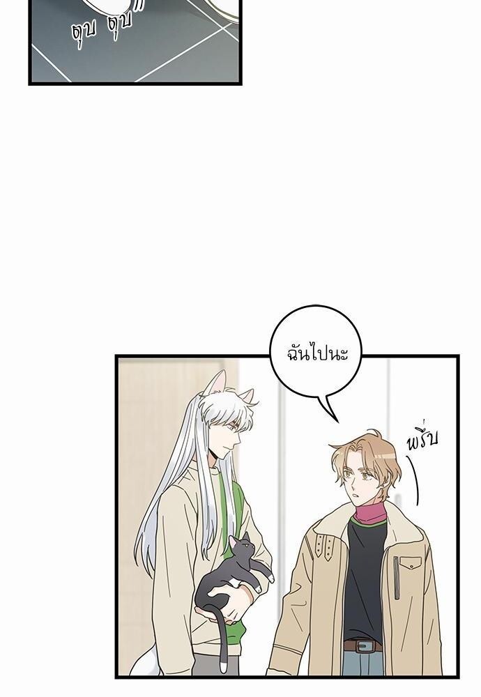 มารักกับเหมียวมั้ยครับ | My One and Only Cat ตอนที่ 26 - รูปที่ 2