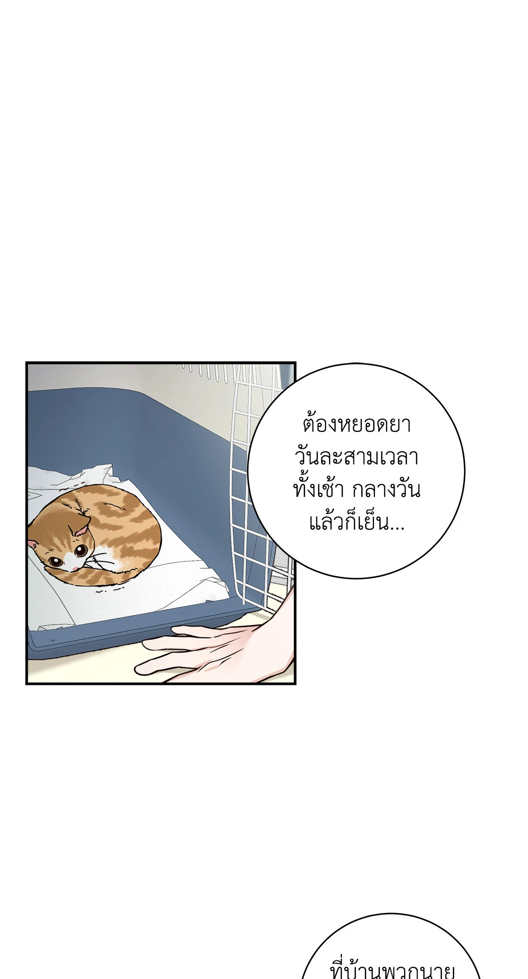 หน้า 29