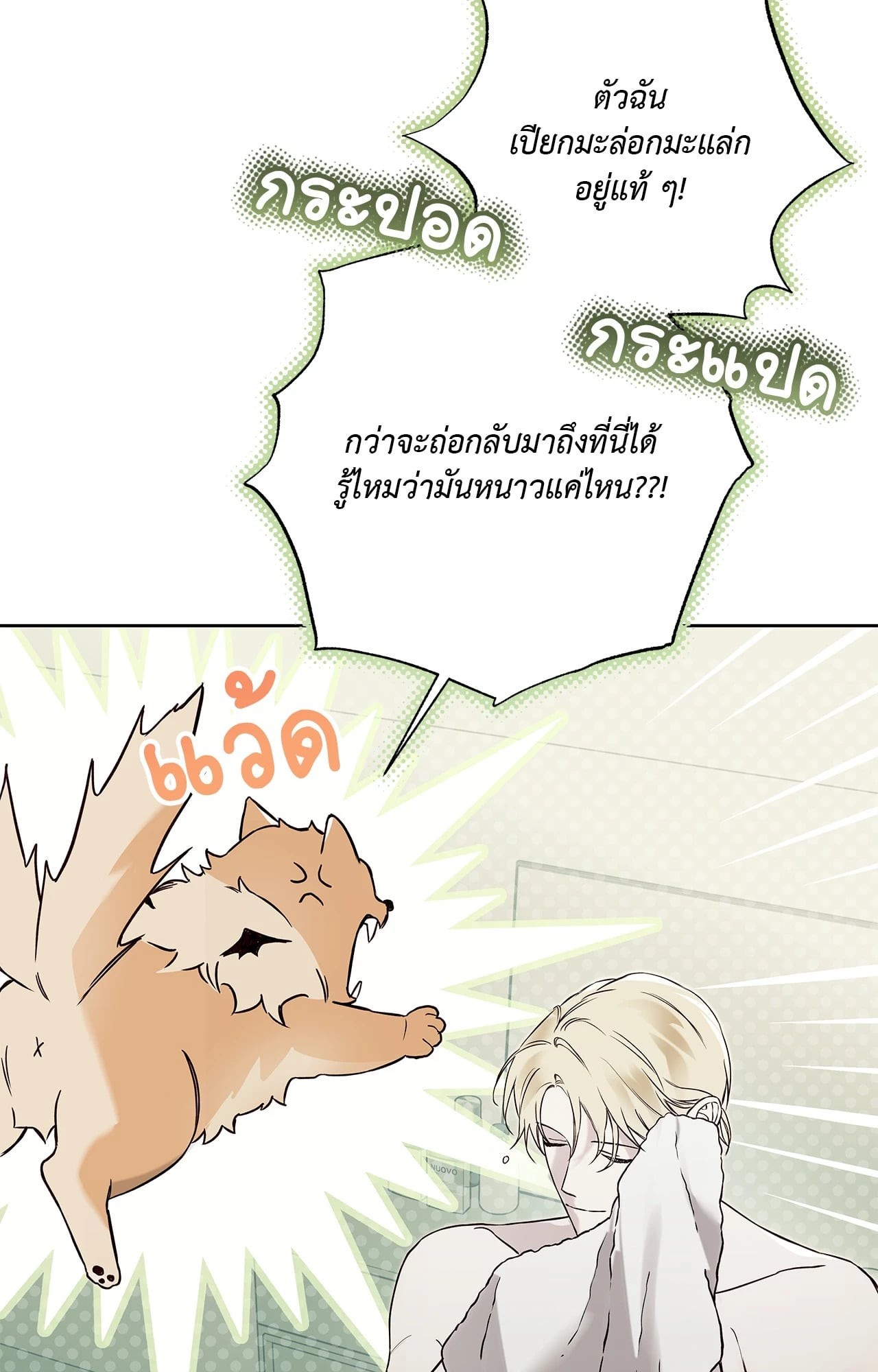 หน้า 42