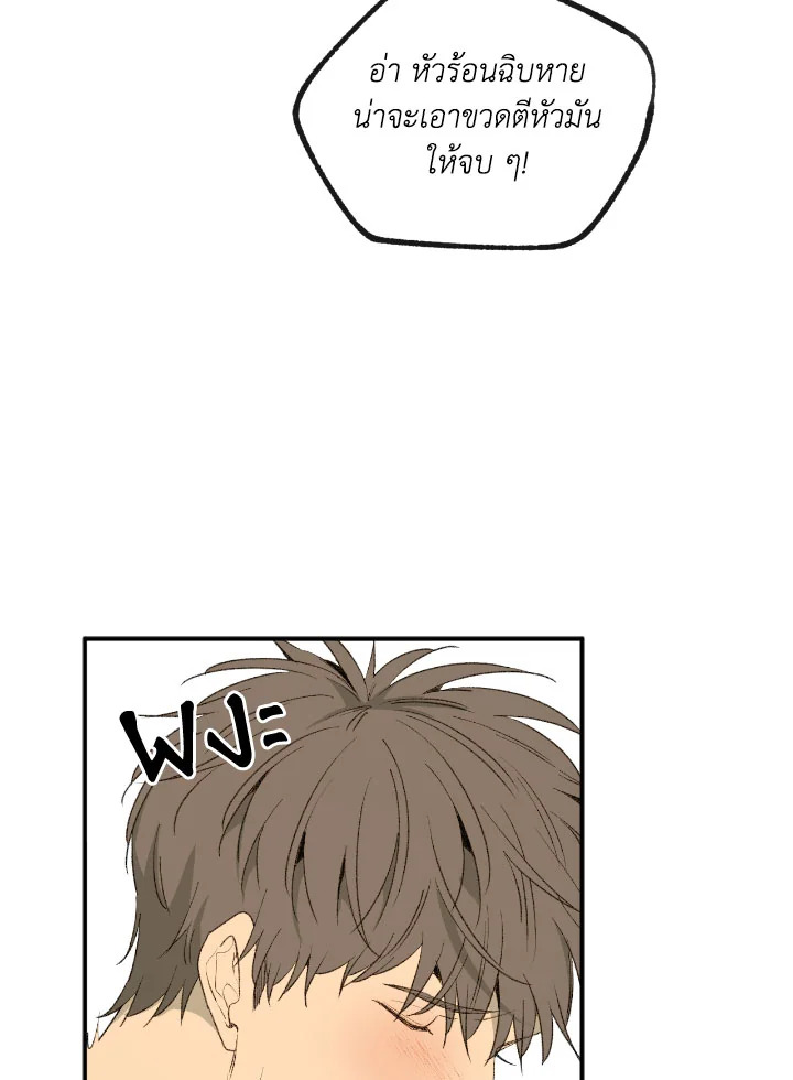 หน้า 50