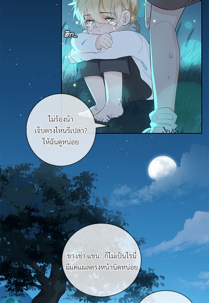 หน้า 41