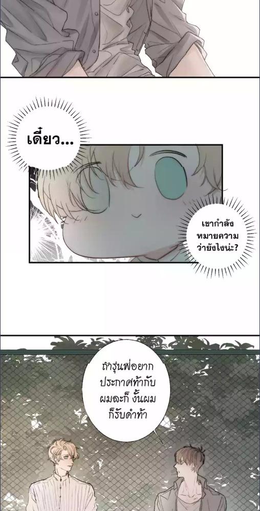 หน้า 31