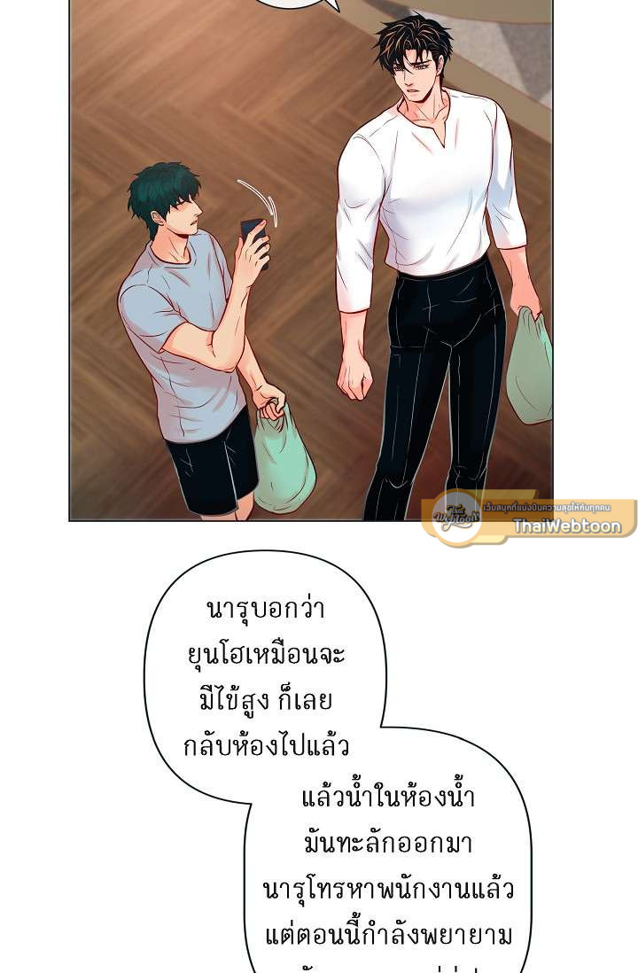 หน้า 43
