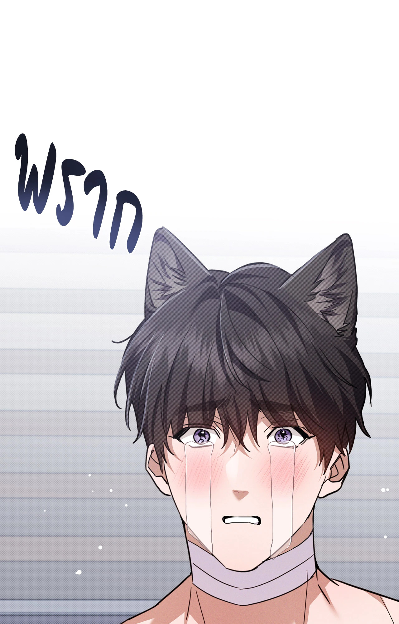 หน้า 43
