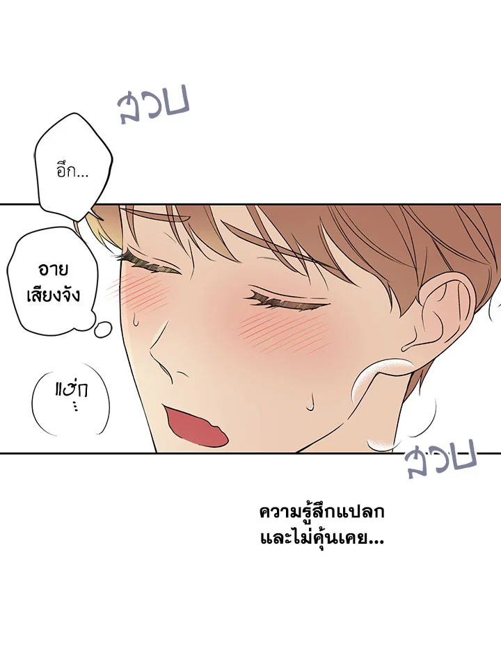 หน้า 43