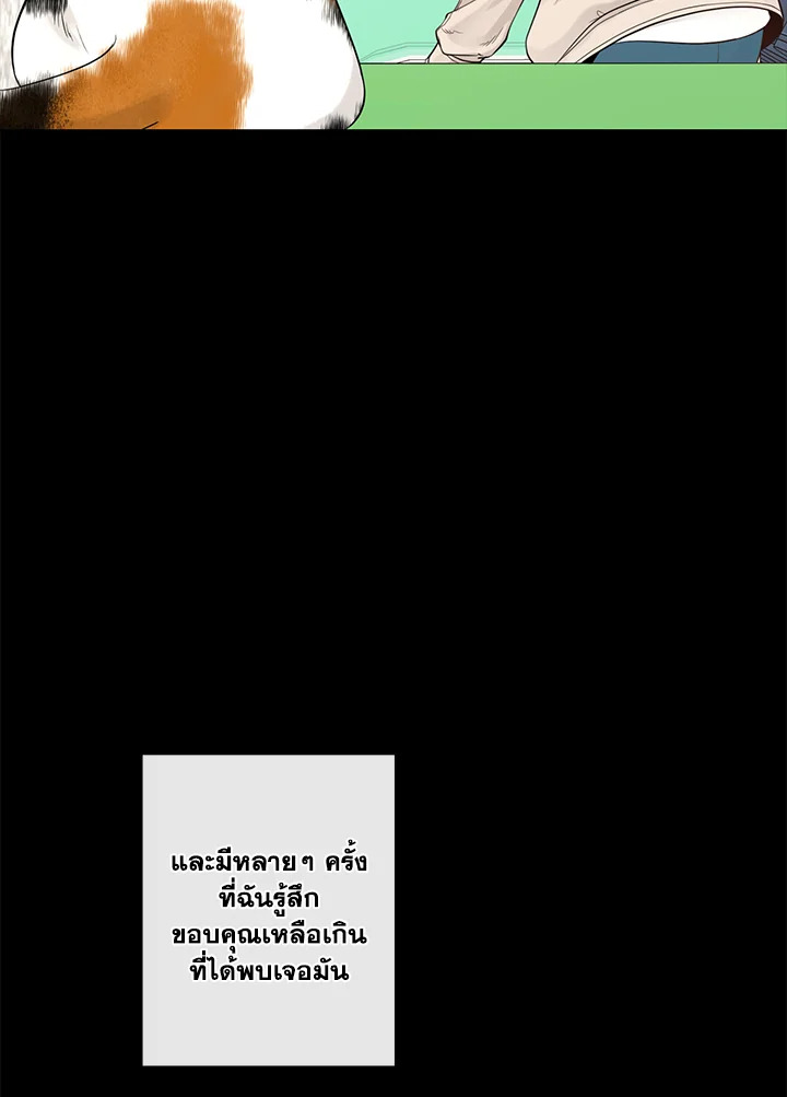 หน้า 68