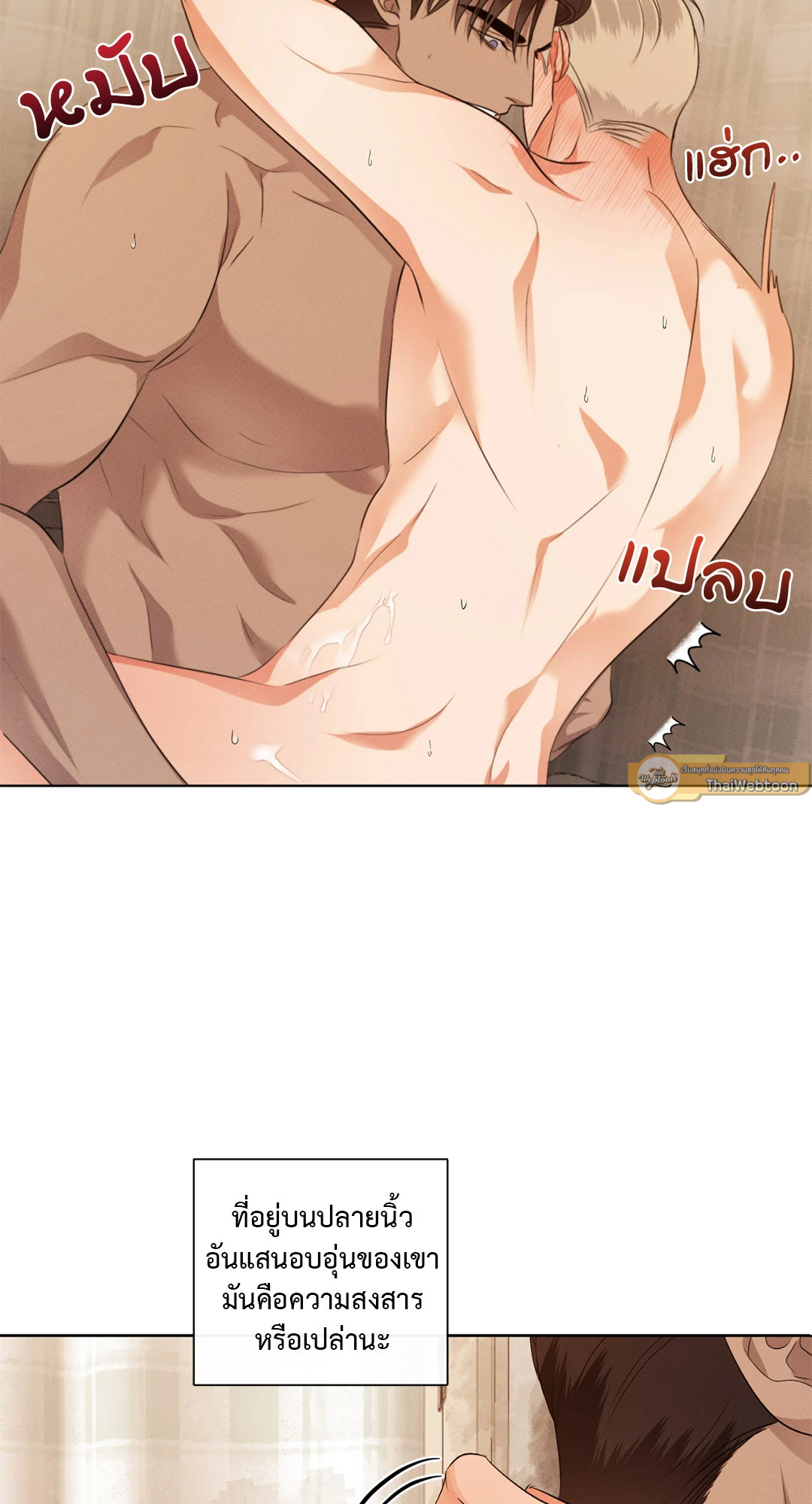 หน้า 43