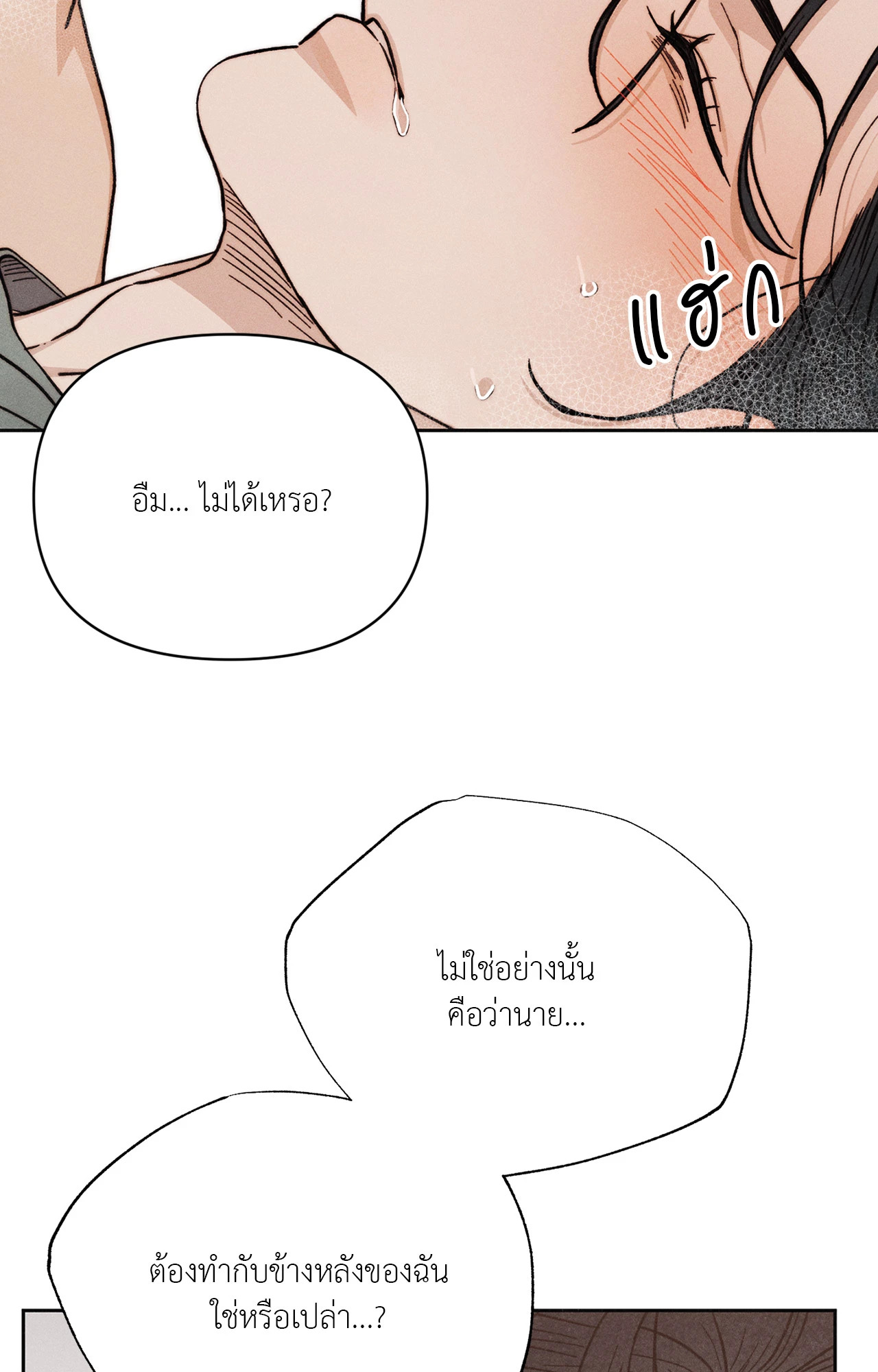 หน้า 102