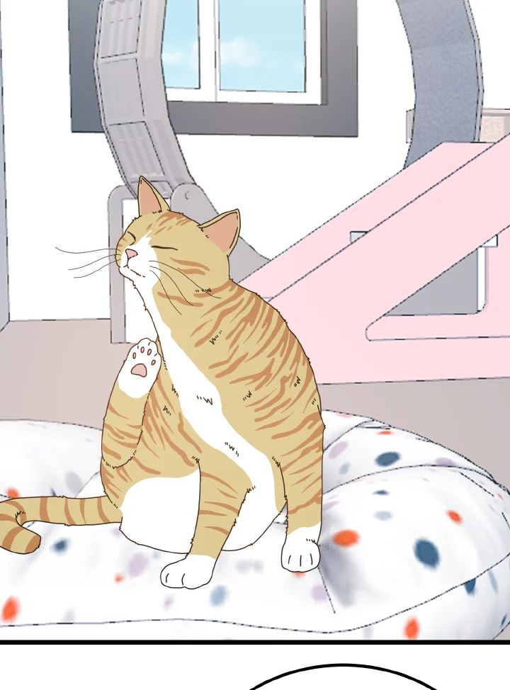 ศักดิ์ศรีแห่งรักร้อน ตอนที่ 87 - รูปที่ 2