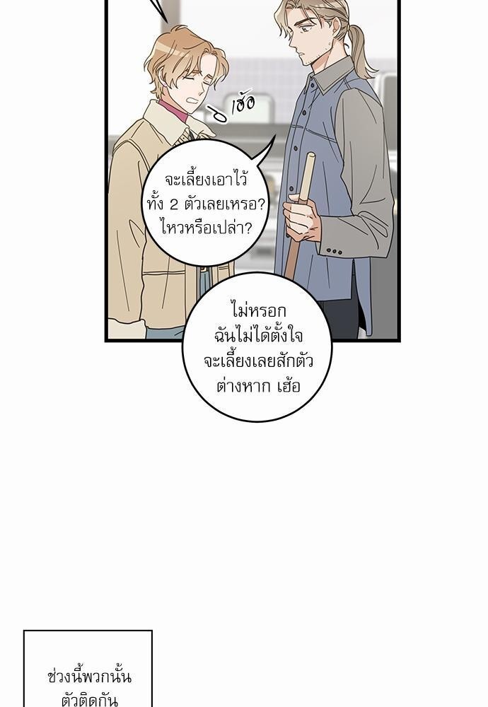 หน้า 29