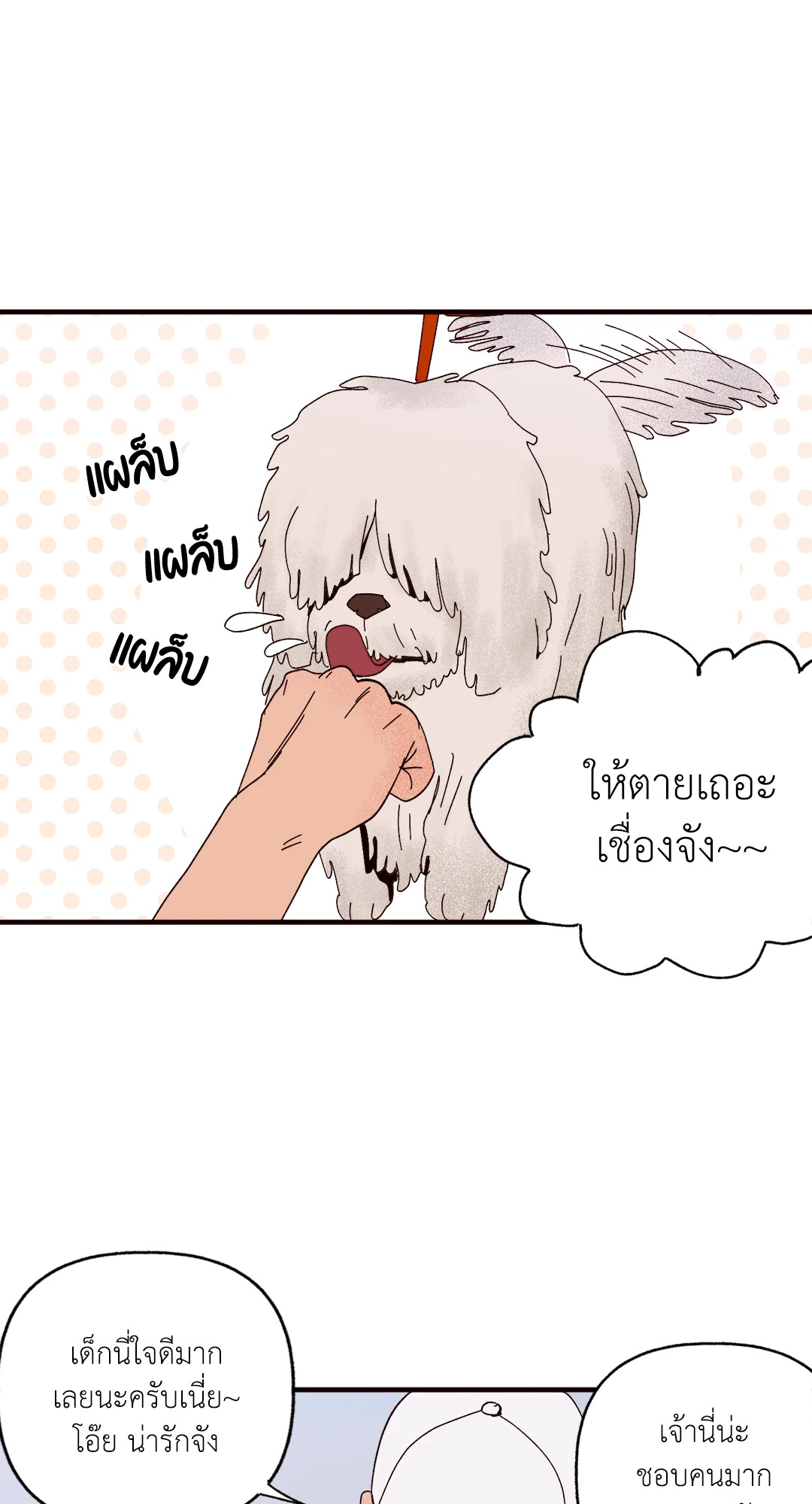 หน้า 29