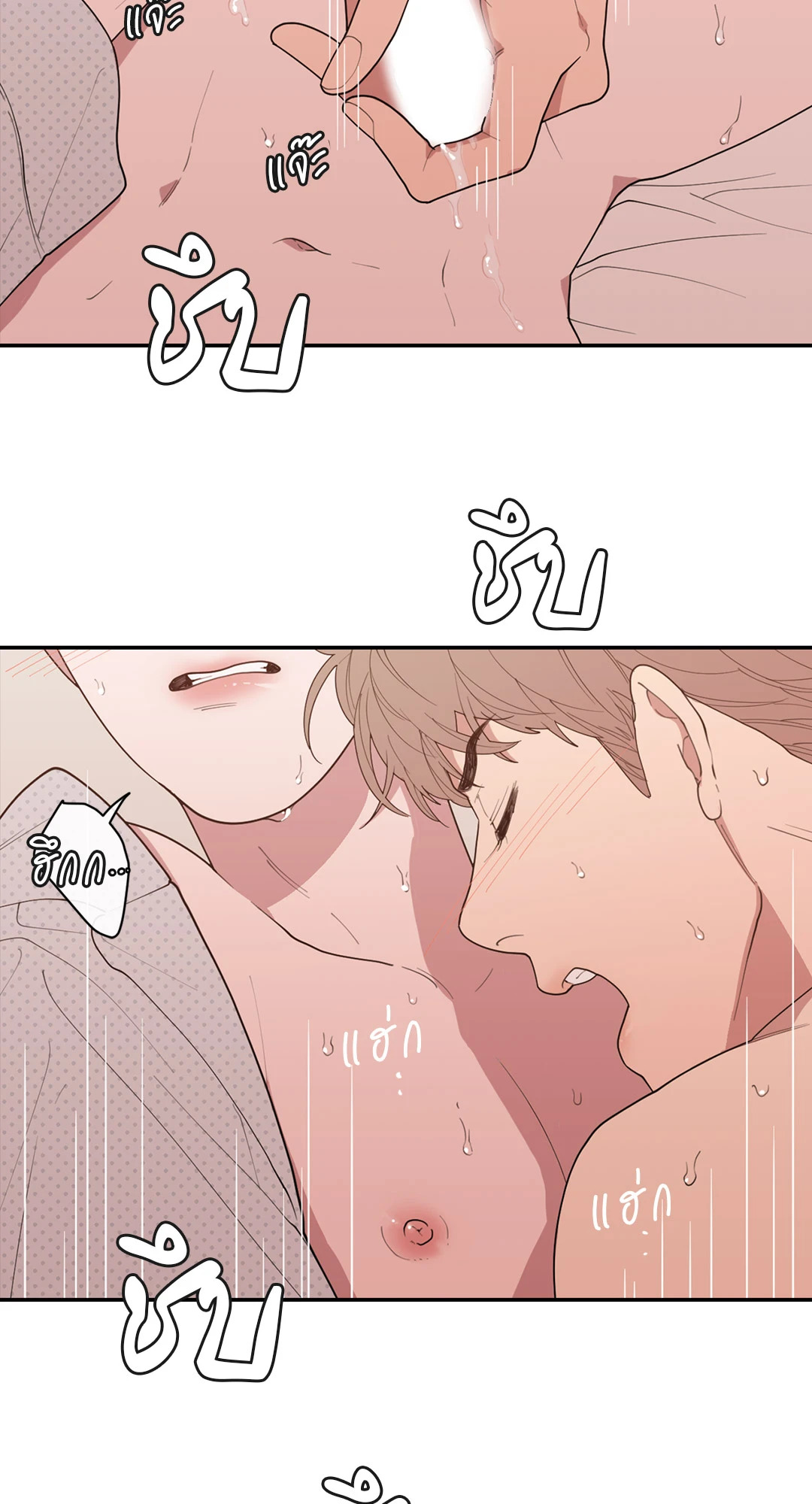 หน้า 66