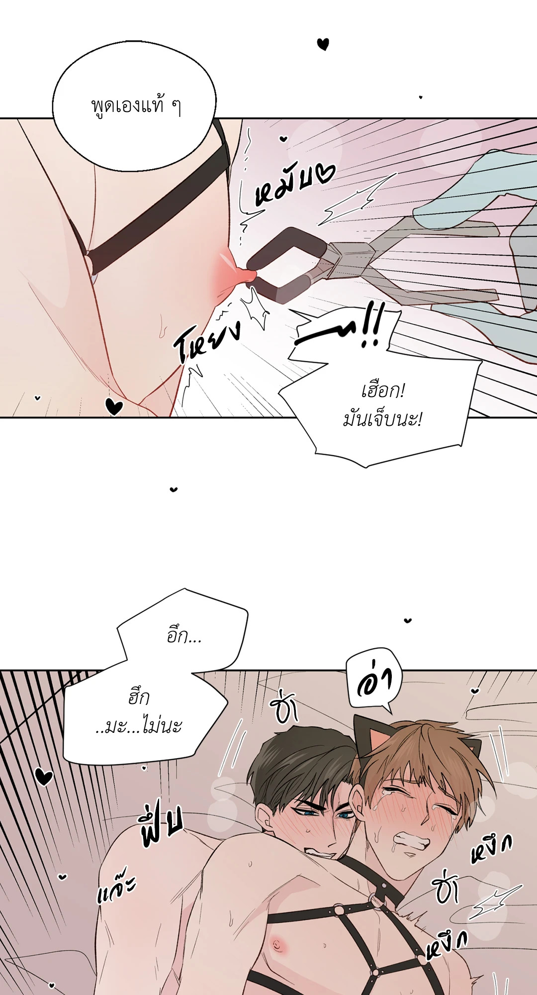 หน้า 43
