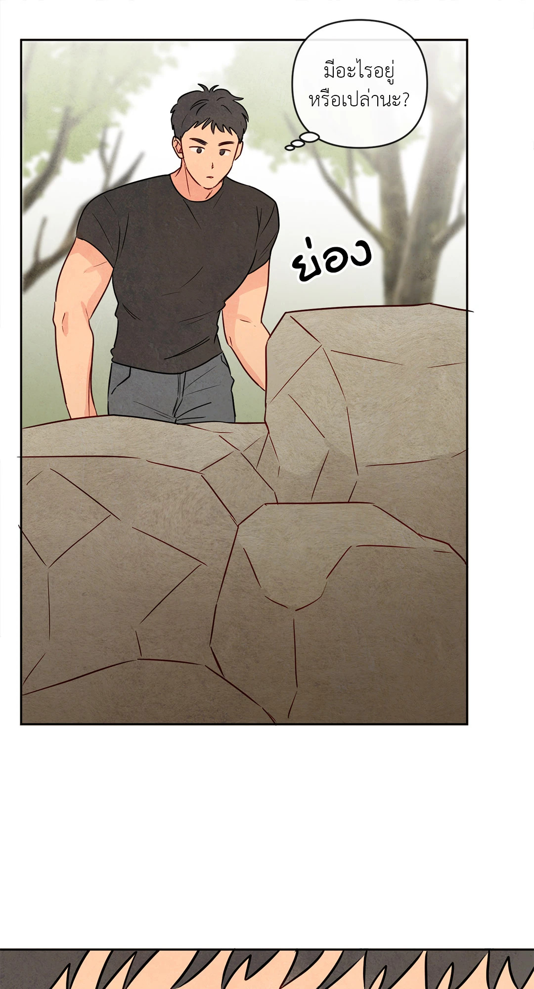 หน้า 43