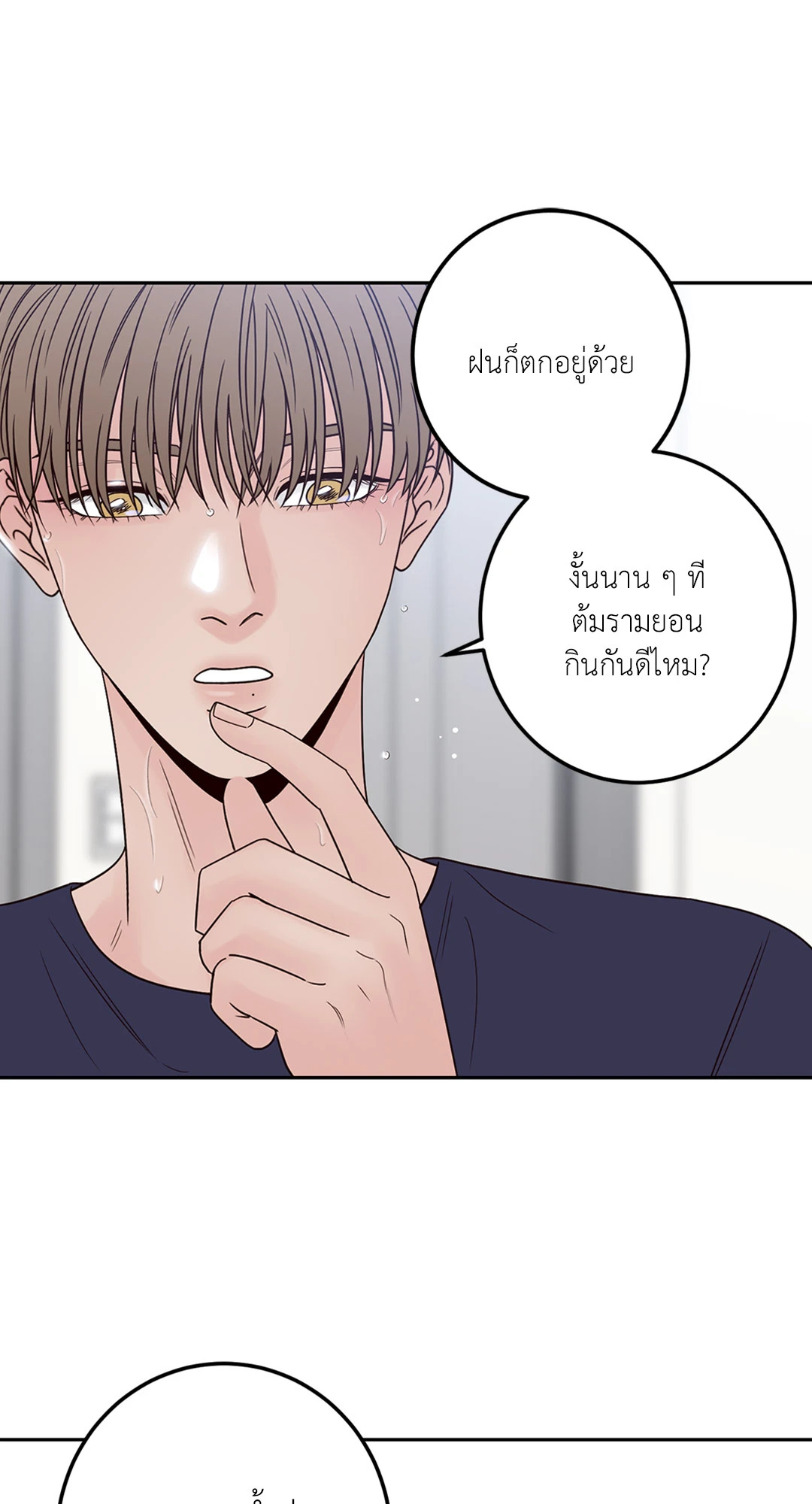 หน้า 43