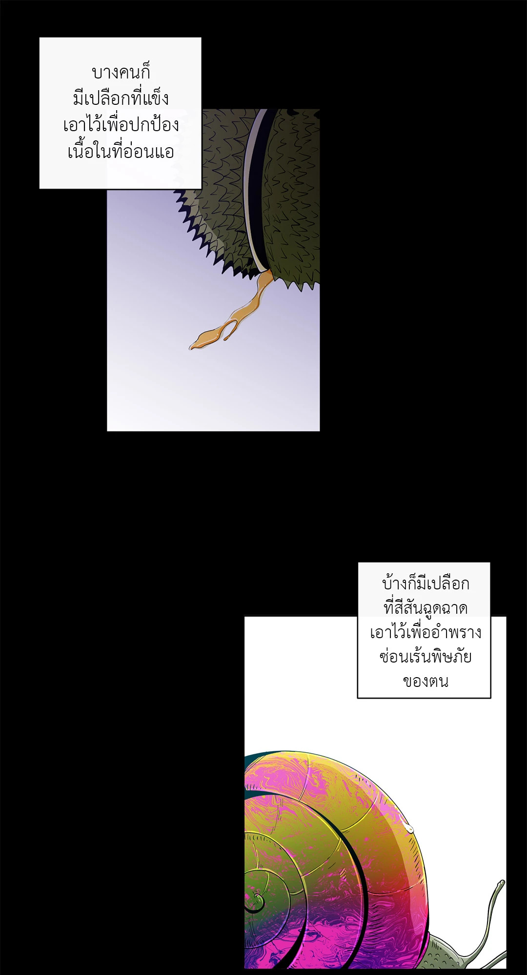 หน้า 26