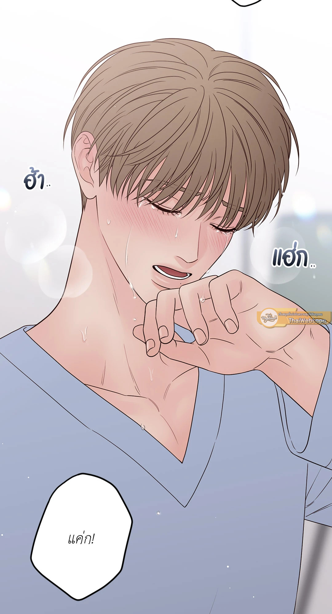 หน้า 29