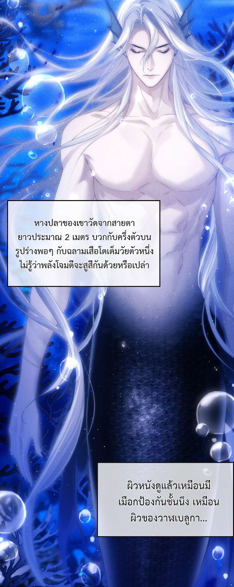 หน้า 31