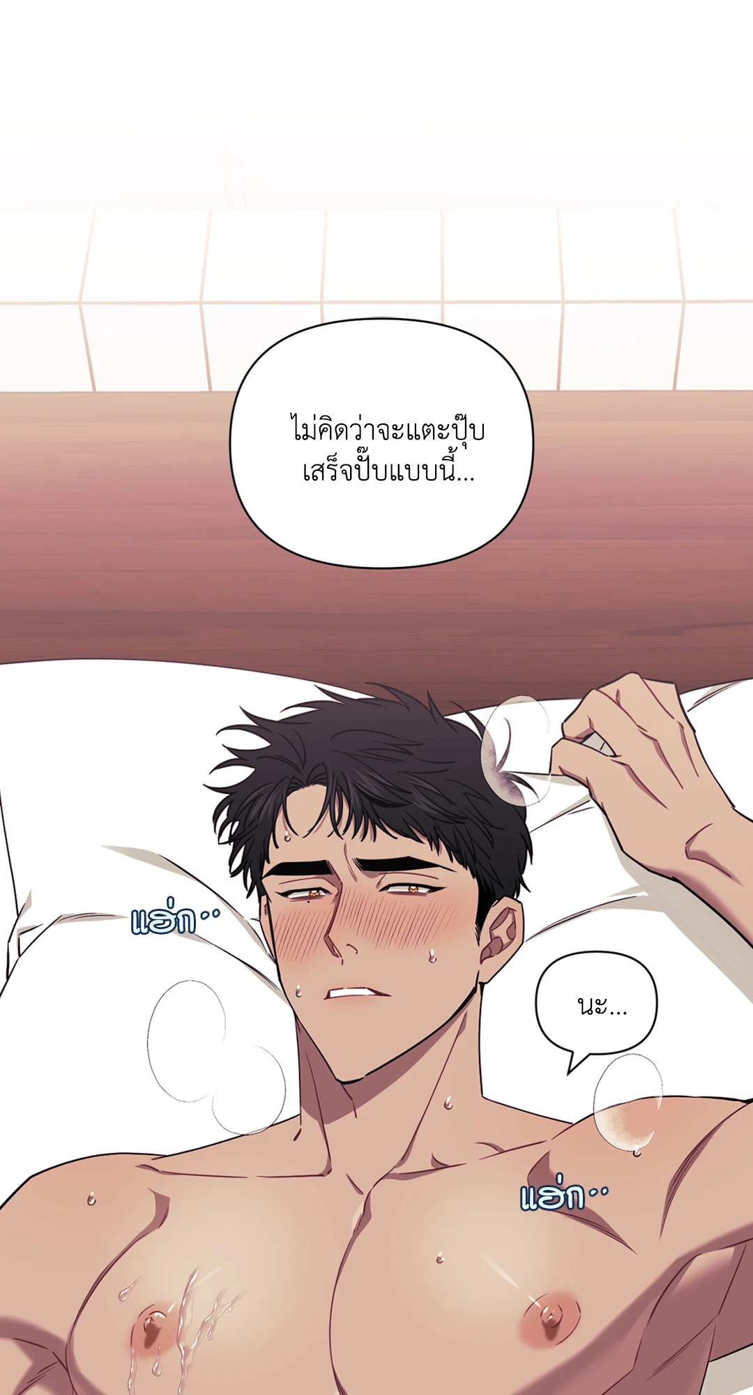 หน้า 46