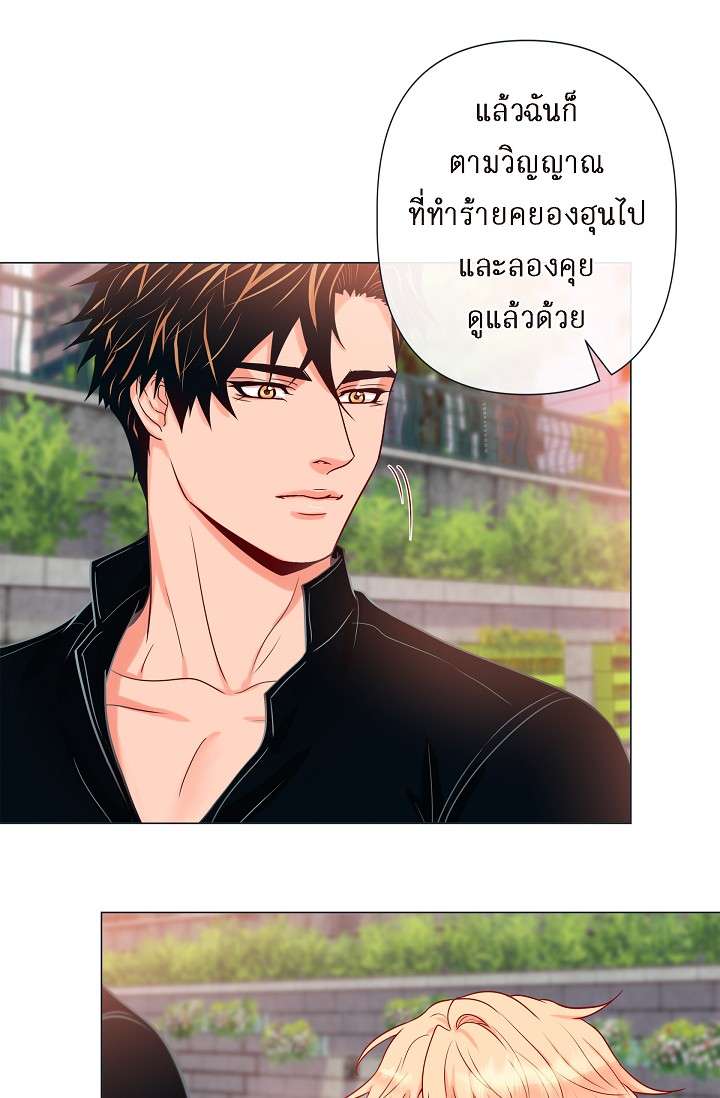 หน้า 42