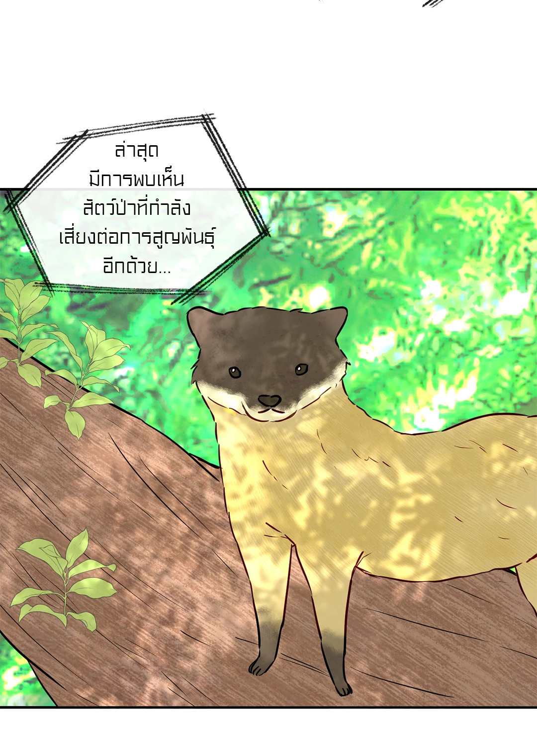 หน้า 53