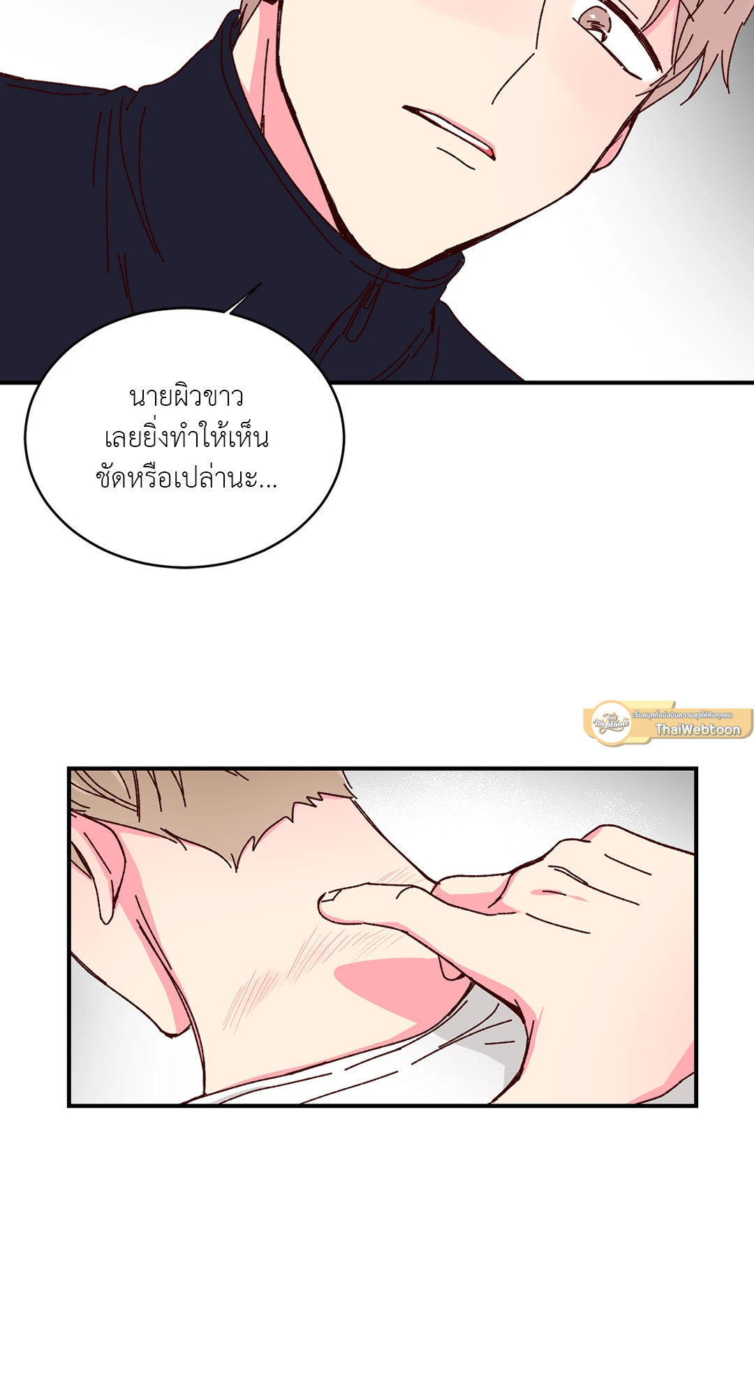 หน้า 43