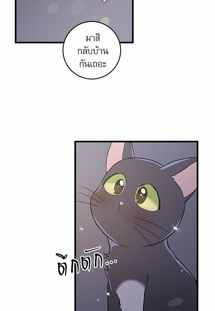 มารักกับเหมียวมั้ยครับ | My One and Only Cat ตอนที่ 49 - รูปที่ 2