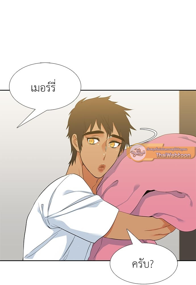 หน้า 41