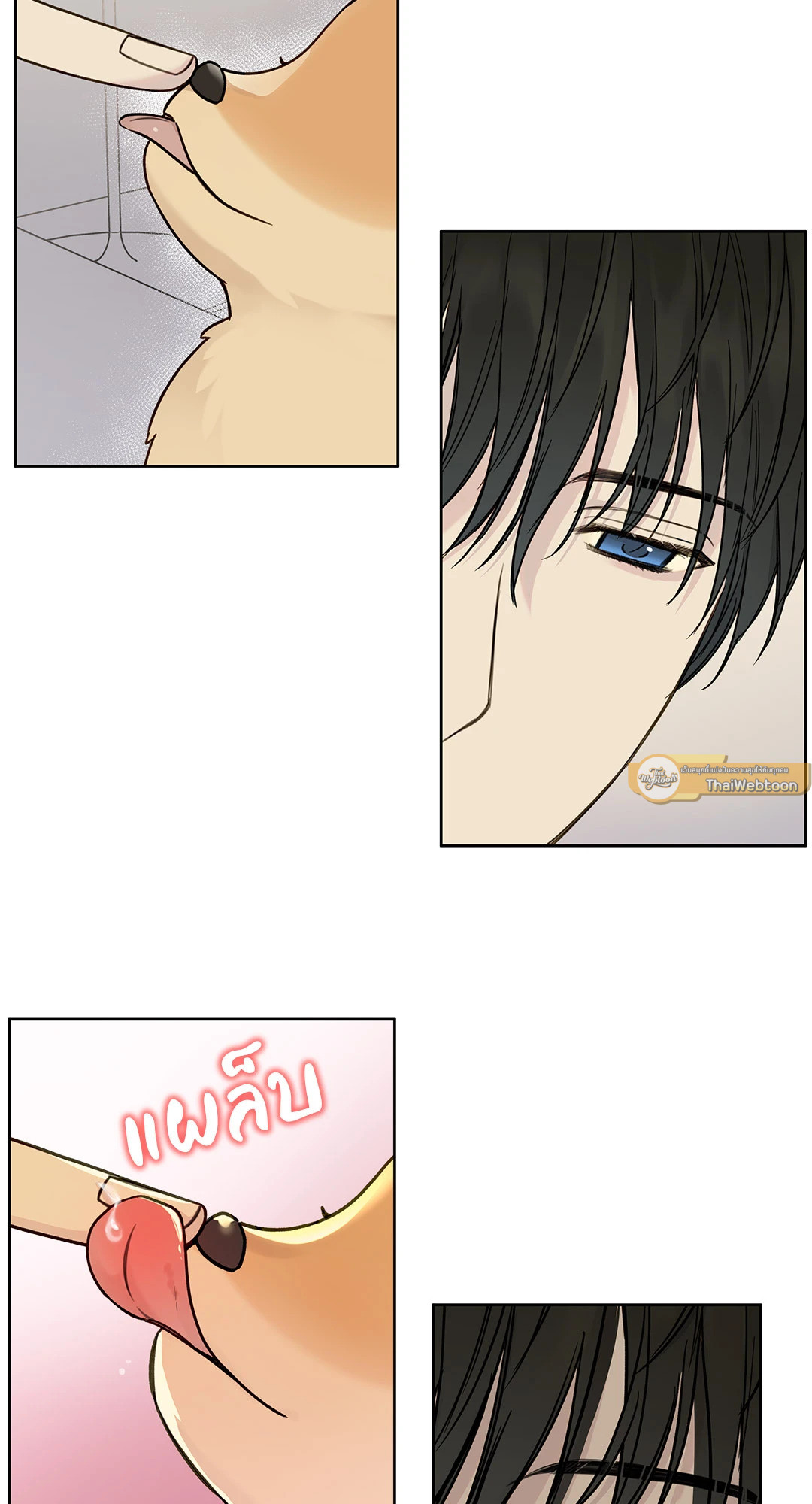 หน้า 26