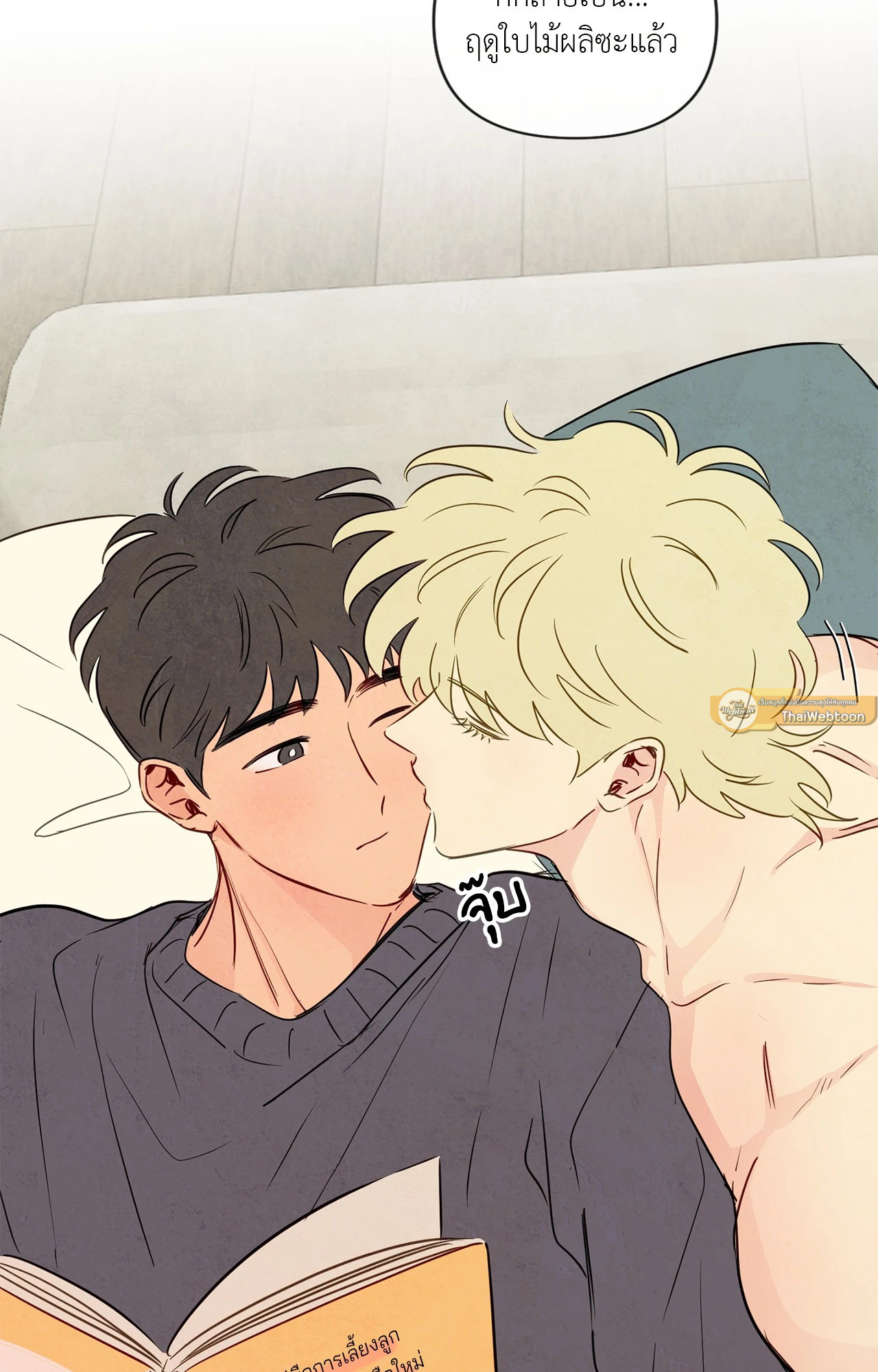 หน้า 19