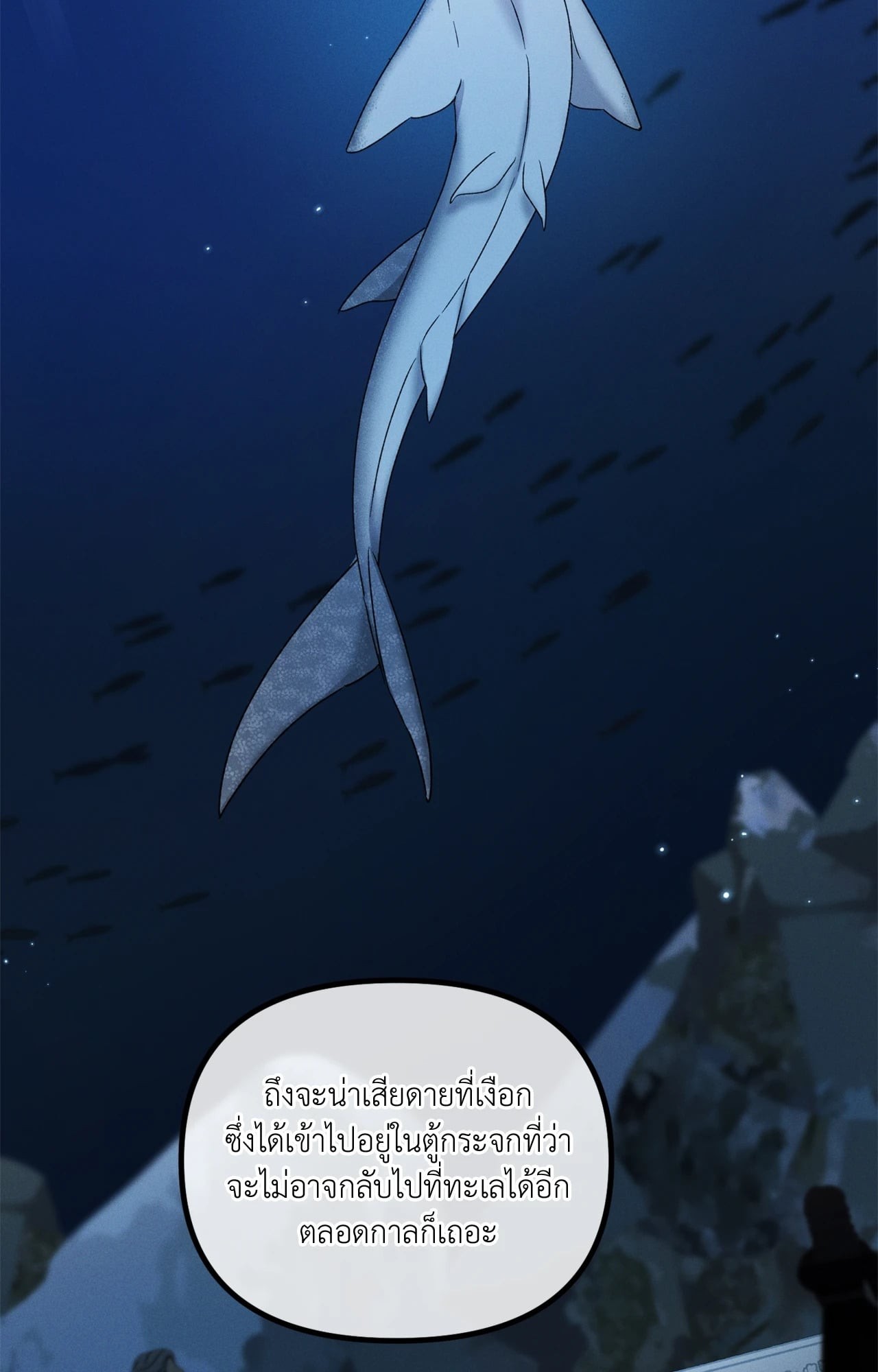 หน้า 53