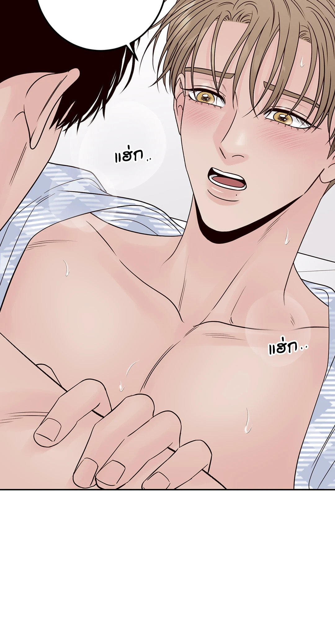 หน้า 36