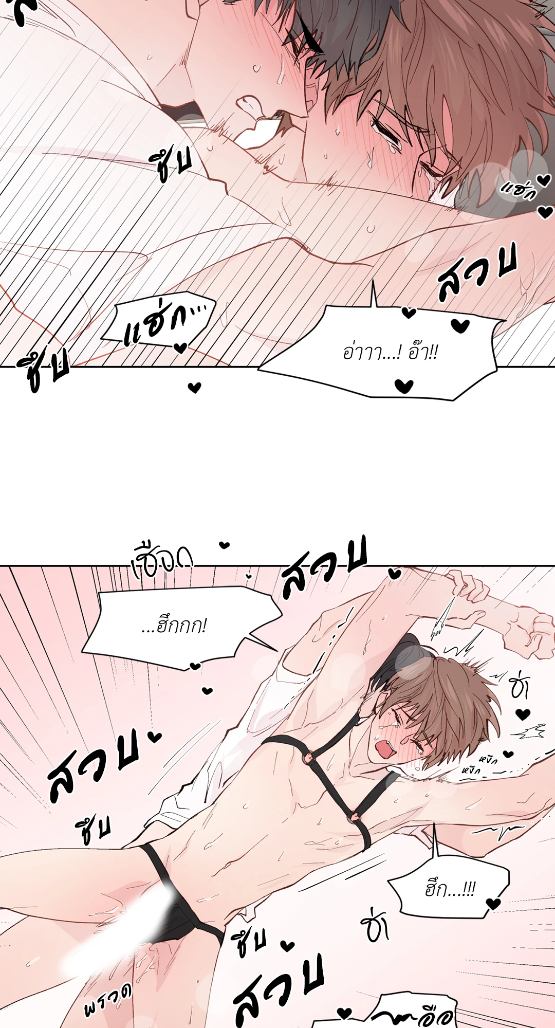 หน้า 41