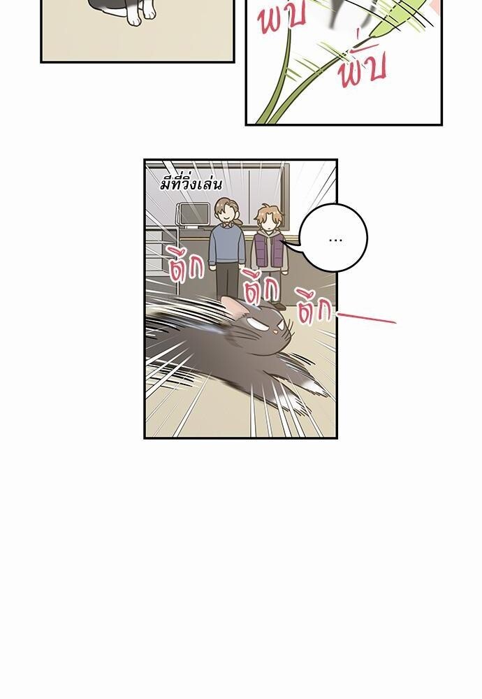 มารักกับเหมียวมั้ยครับ | My One and Only Cat ตอนที่ 28 - รูปที่ 2