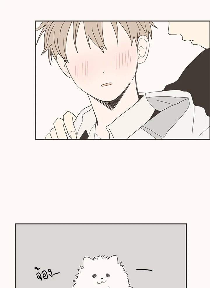 หน้า 44