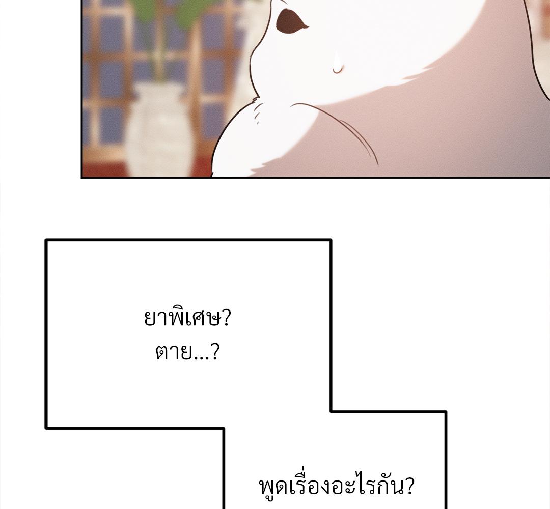 หน้า 161