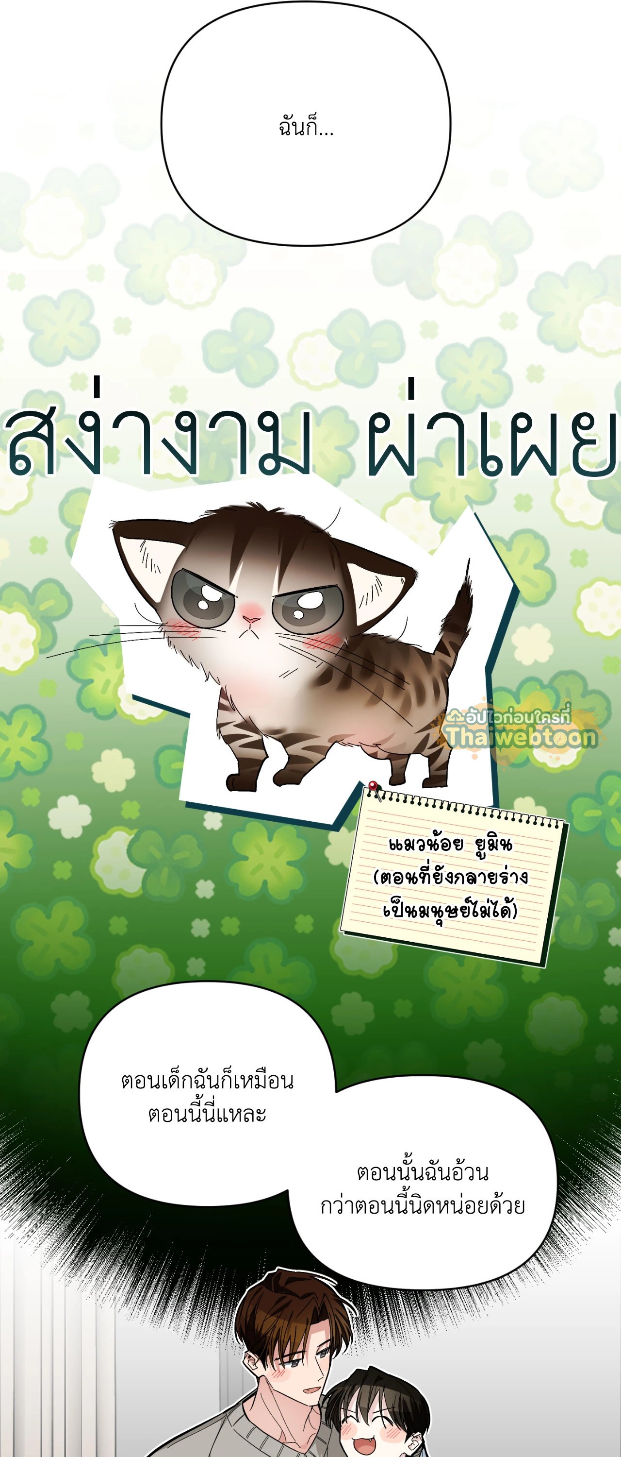 หน้า 31