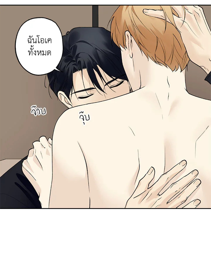 หน้า 43