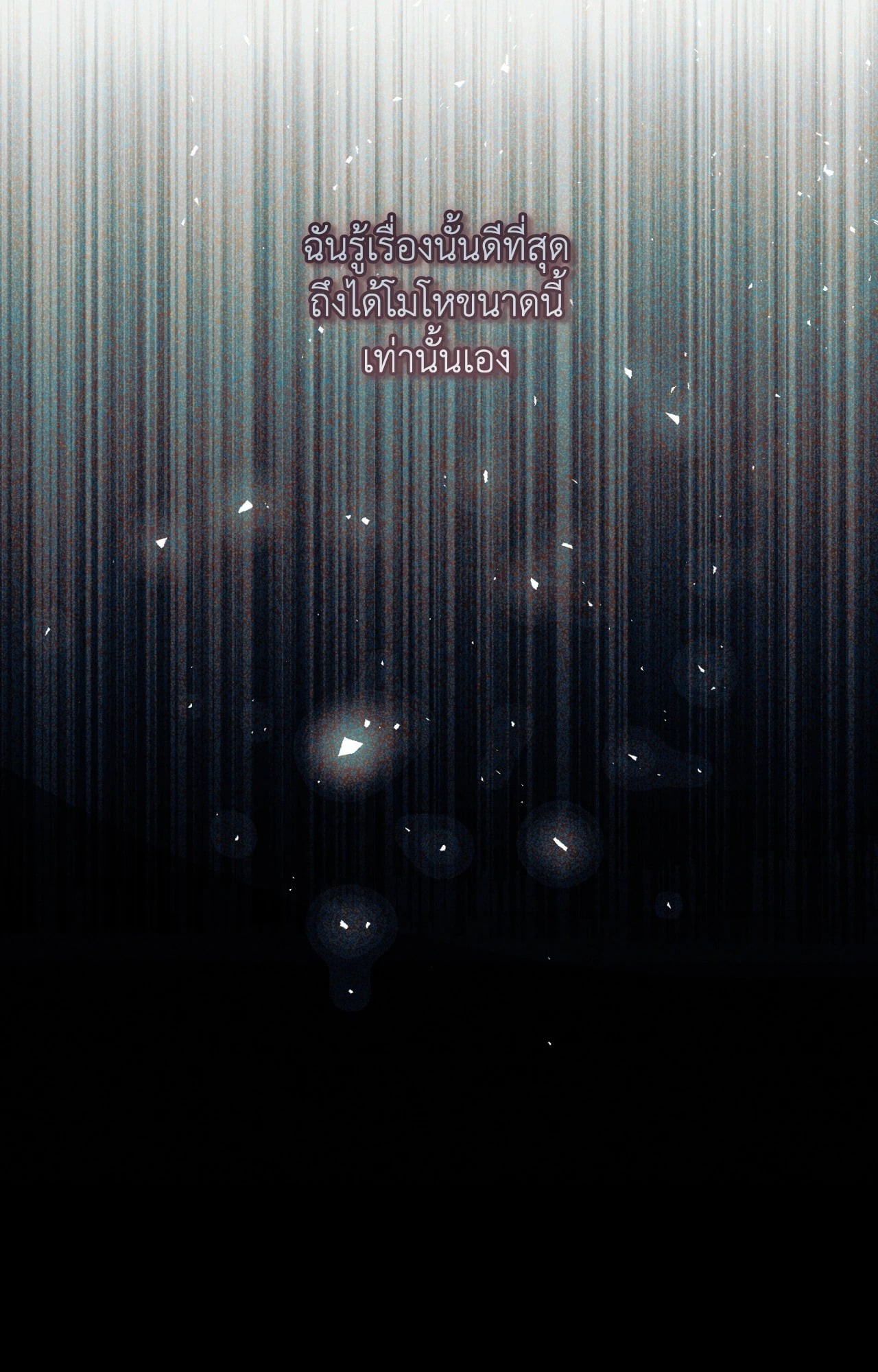 หน้า 117