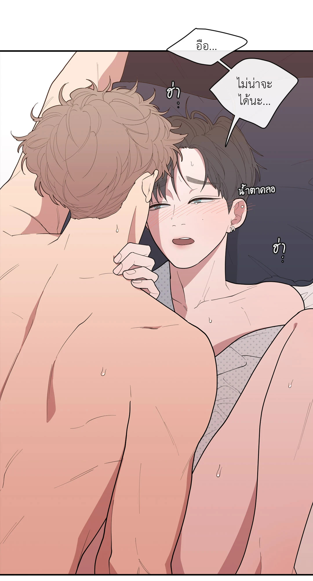 หน้า 45