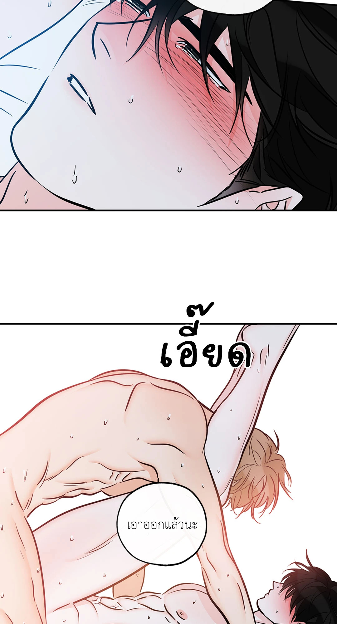 หน้า 24