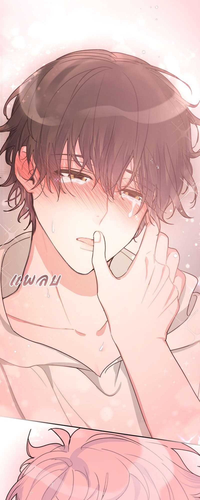 หน้า 30