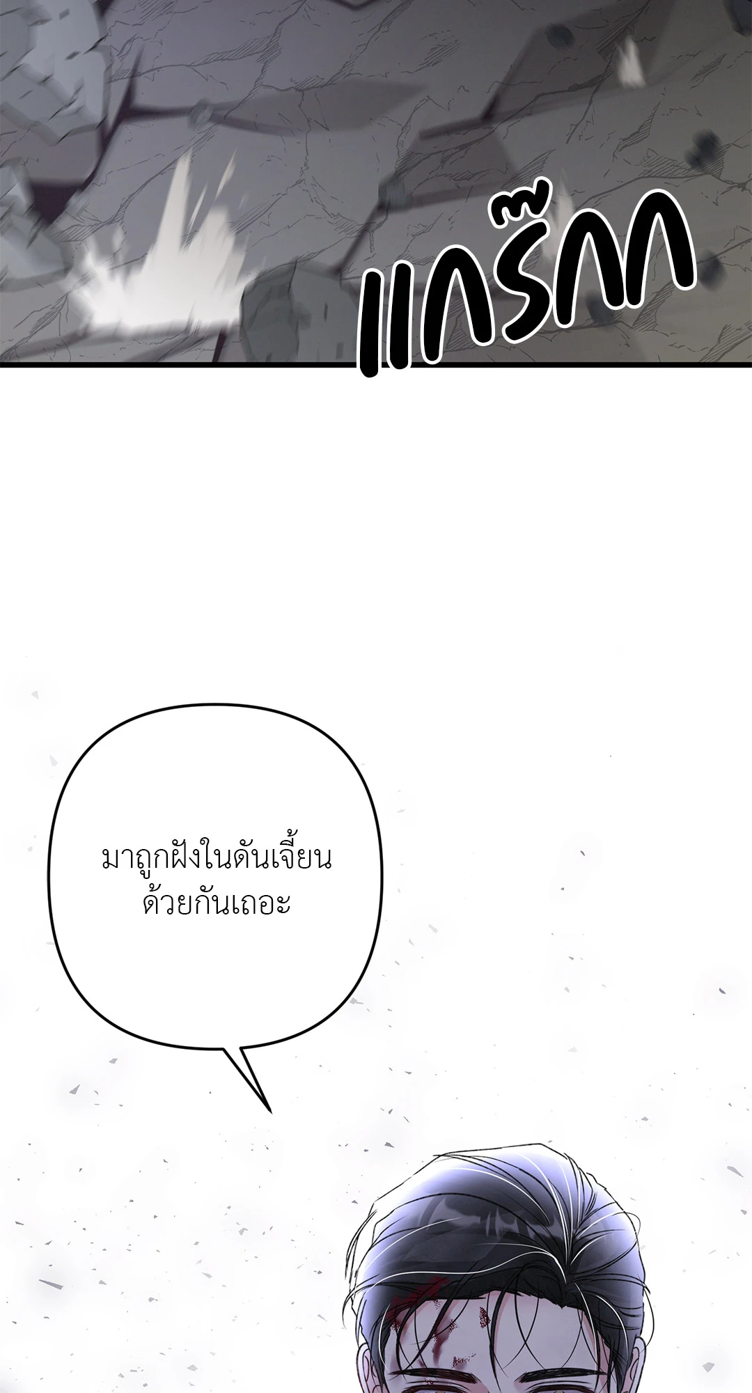 หน้า 102