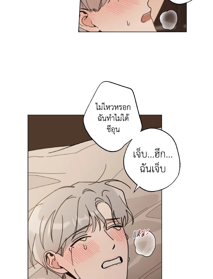 หน้า 48