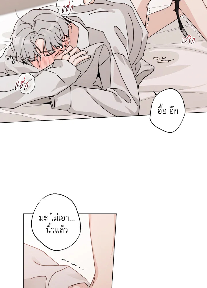 หน้า 61