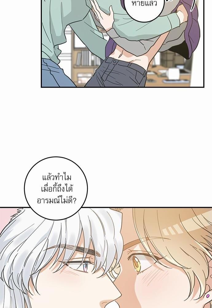 หน้า 42