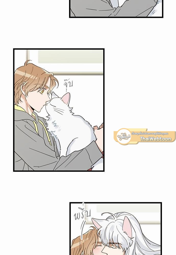 หน้า 61