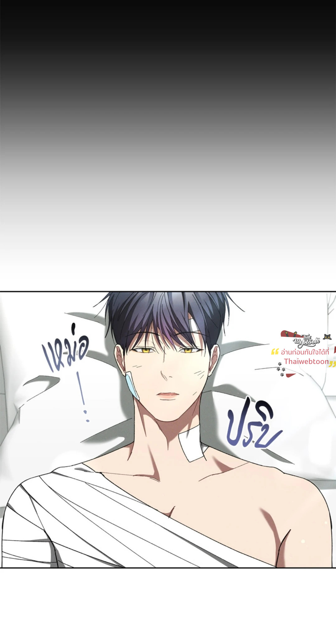 หน้า 53