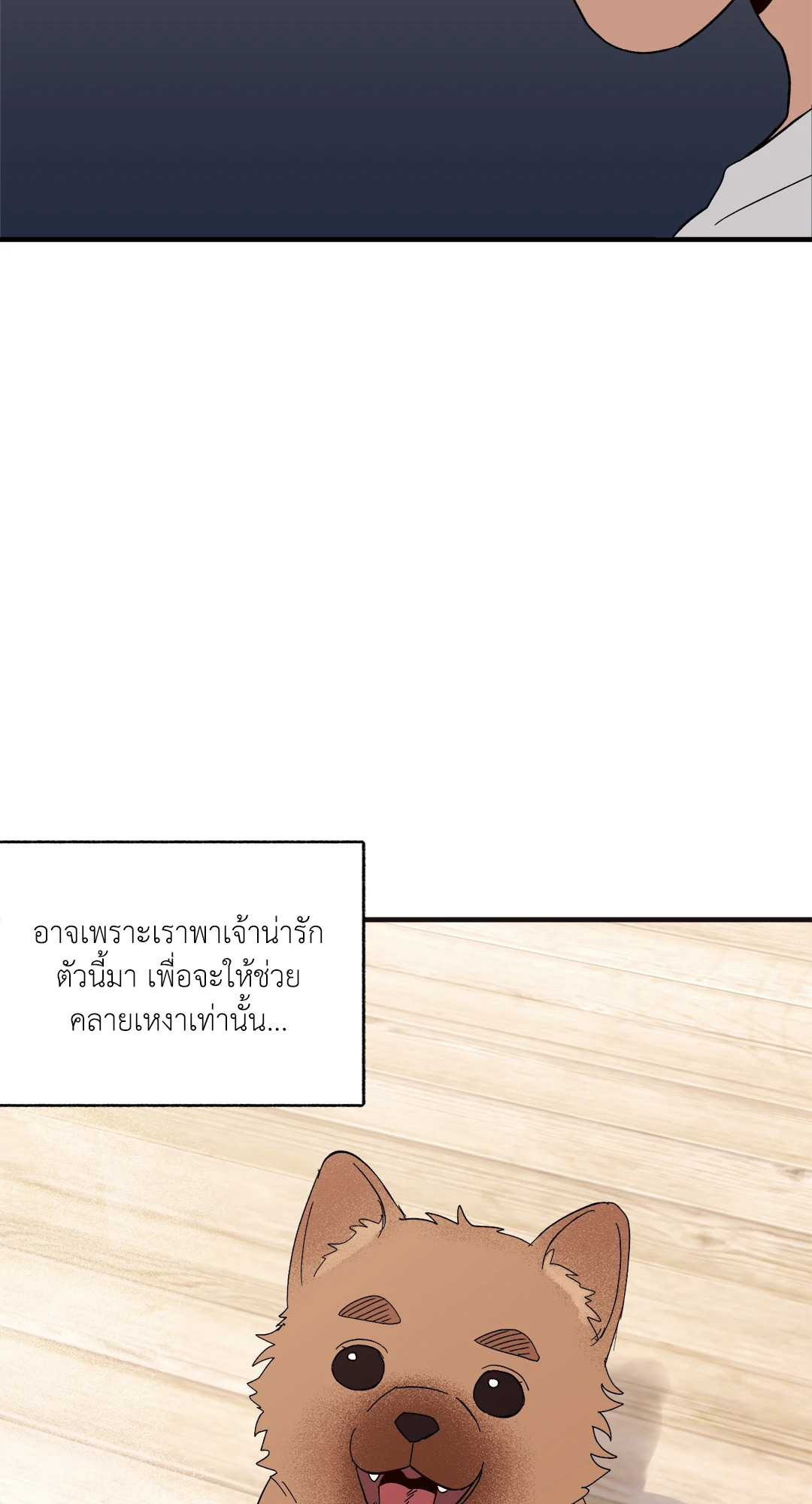 หน้า 42